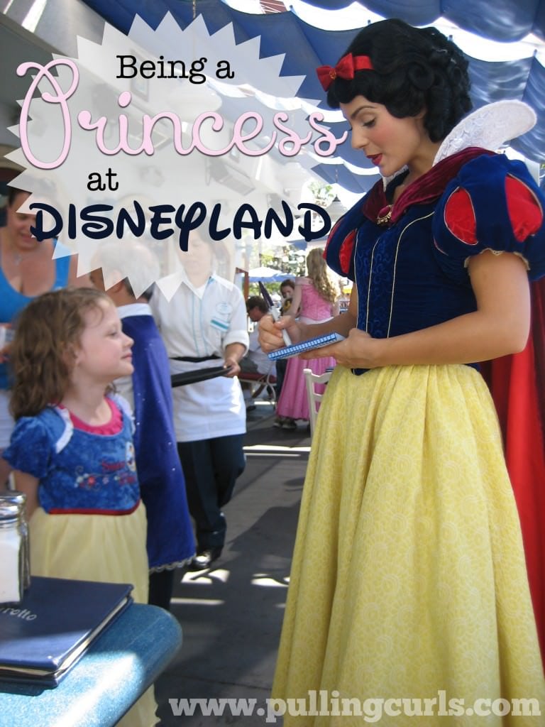 Disneyland Princess Dress