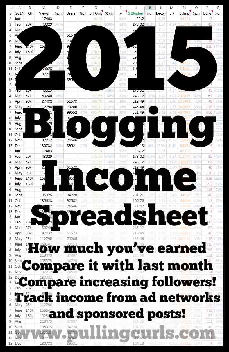 This blogging income helps you track views, followers, income and expenses!