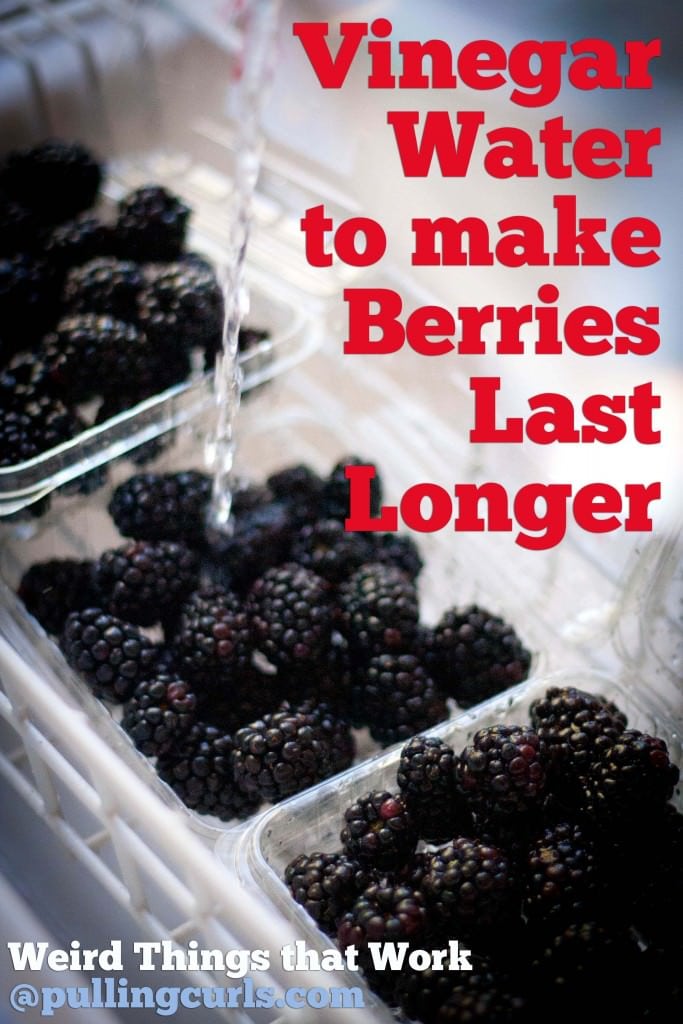 Berries last longer | vinegar | prevent mold|  rinse | raspberries | blackberries | blueberries | strawberries