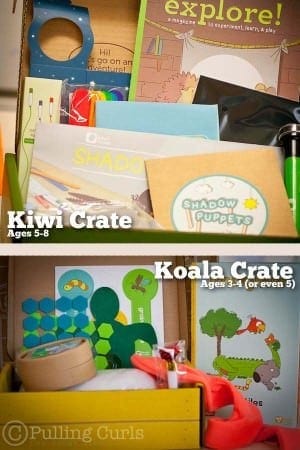 Kiwi or Koala Crate is a great option for crafty and inquisitive kids!