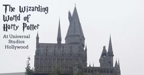 wizarding world social