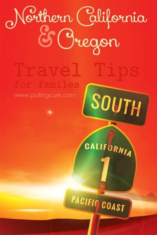 Thinking of driving the coast? These trips will give you some ideas of where to stop in northern California through Oregon.