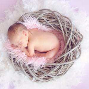 Newborn