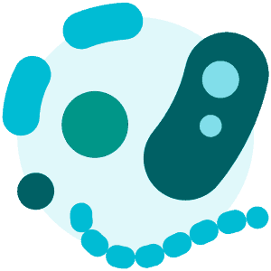 bacteria