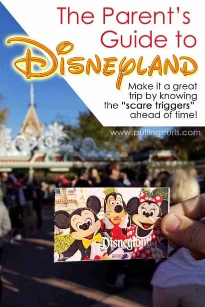 parents guide to Disneyland feature
