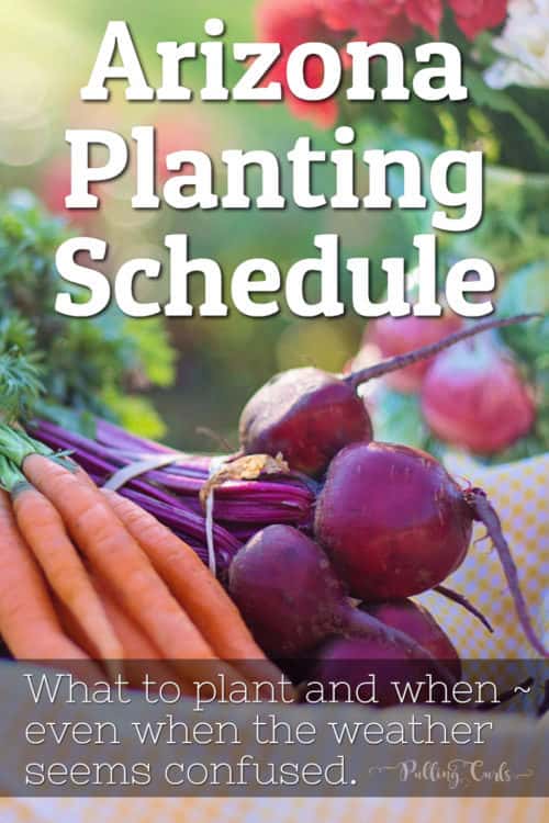 Arizona Garden / schedule /printable / planting