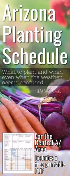 Arizona Garden / schedule /printable / planting via @pullingcurls