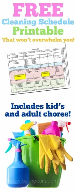 Household Schedule Template from www.pullingcurls.com