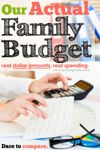Ever want to peek at someone's ACTUAL budget? Find out what they REALLY want to spend on groceries, and dates, money for themselves? Well, now you can. Check it out here! #pullingcurls