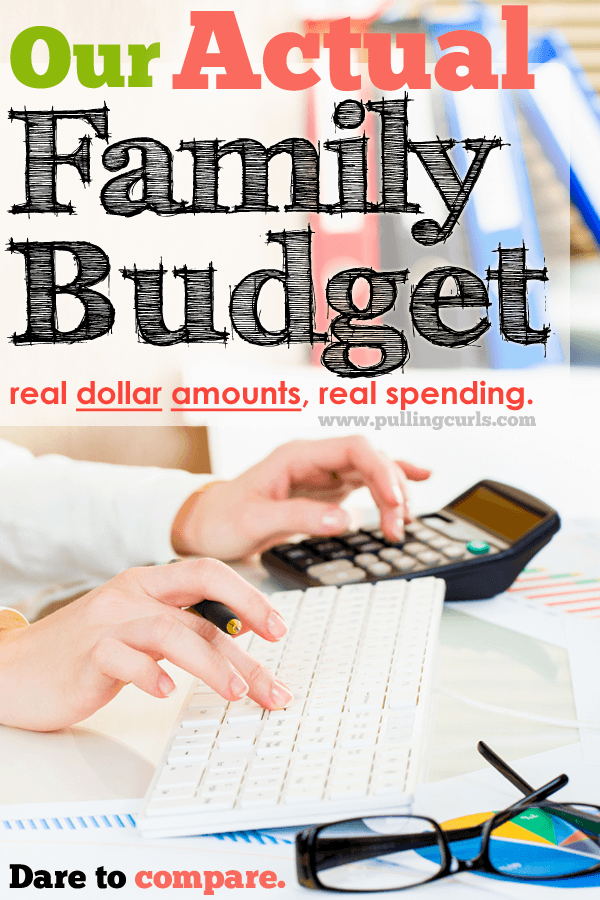 my family budget