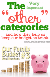 *Includes our ACTUAL budget #'s* To make larger purchases during the month I have other "pots" I can take money from. Maybe that kind of budgeting idea can help you too!