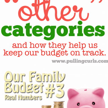 *Includes our ACTUAL budget #'s* To make larger purchases during the month I have other "pots" I can take money from. Maybe that kind of budgeting idea can help you too!