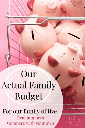 Sample budget for a family of 5