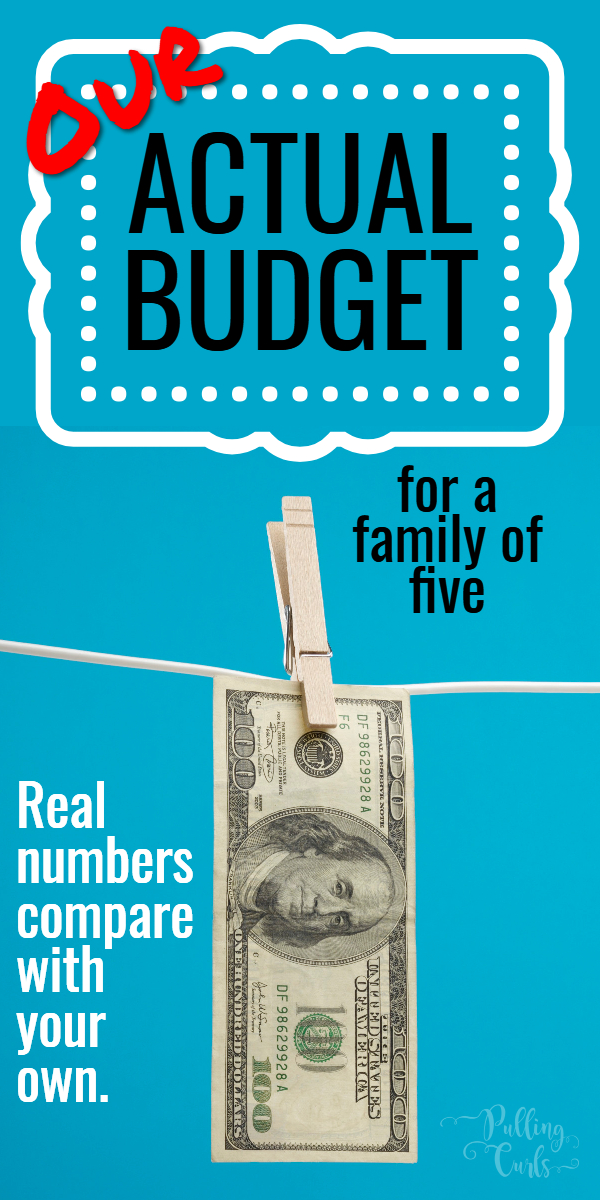 This is our REAL budget -- the actual numbers, and the actual totals we need to sustain our life. is it similar to yours? Come find out! #budget #budgets #finances