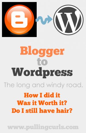 Moving from Blogger to wordpress has been a difficult journey. Come see if I thikn it was worth it!