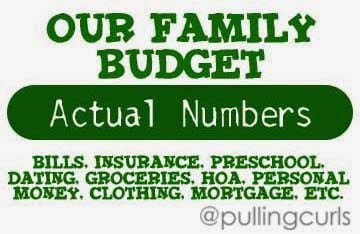 my family budget