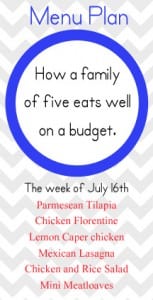 A healthy family meal plan for our family of 5 that keeps us happy and on budget.  This moth I'm focusing on protein and dinner.