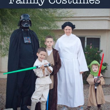 Star Wars is a great family theme. There aer lots of options for larger families with a wide rang of ages