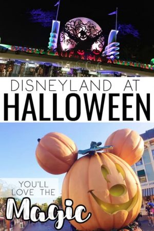 Disneyland is a premier destination for Halloween -- if you know what you're getting into. Here are 5 things to know about Disneyland at Halloween include ride changes, decor and special events like Mickey's Halloween party!