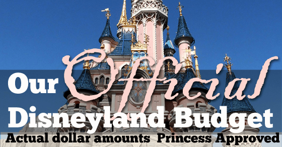 disneyland budget fb