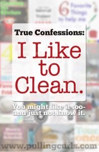 I like to clean. I may not always LOVE the jobs I am doing, but here are 6 reasons I like cleaning -- maybe you can realize you "like" it too!