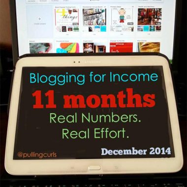 The income I made for blogging in my 11th month of effort. An exciting, time consuming venture!