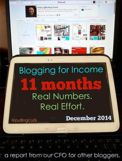 The income I made for blogging in my 11th month of effort.  An exciting, time consuming venture!