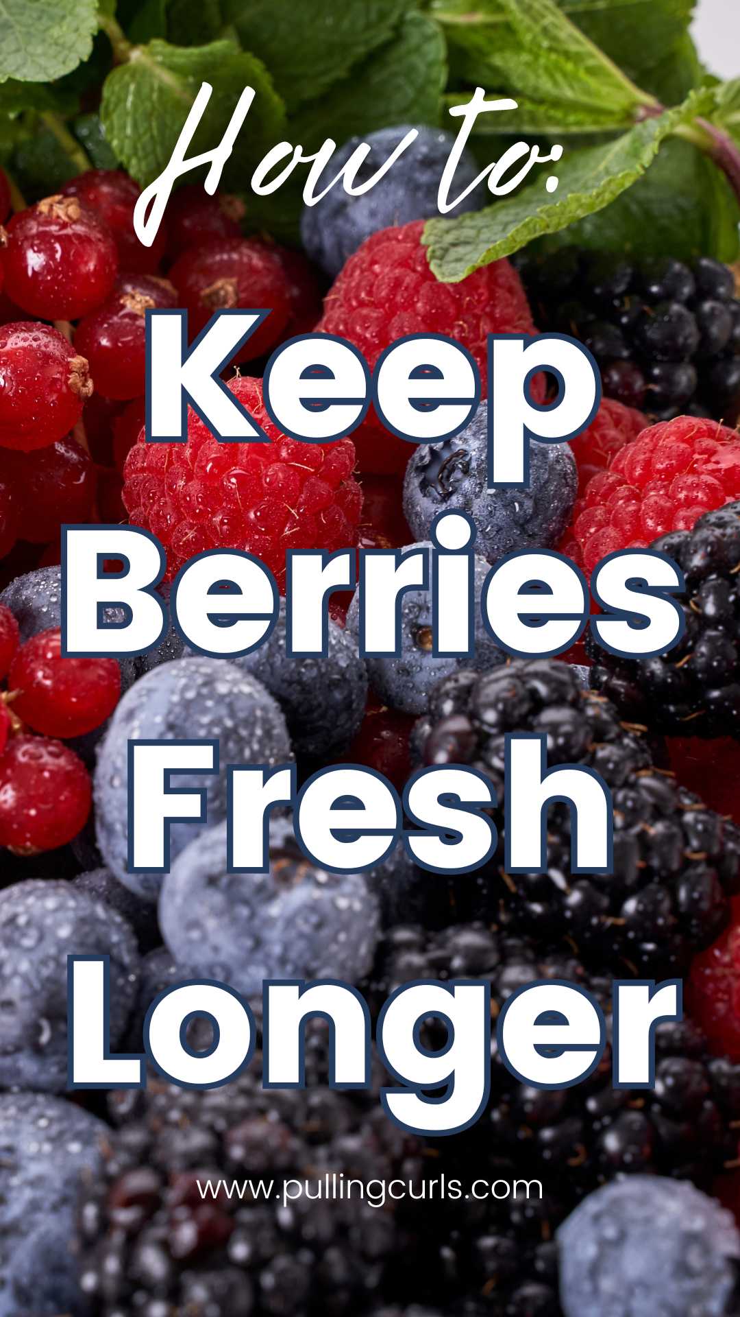 berries // how to keep berries fresh longer via @pullingcurls