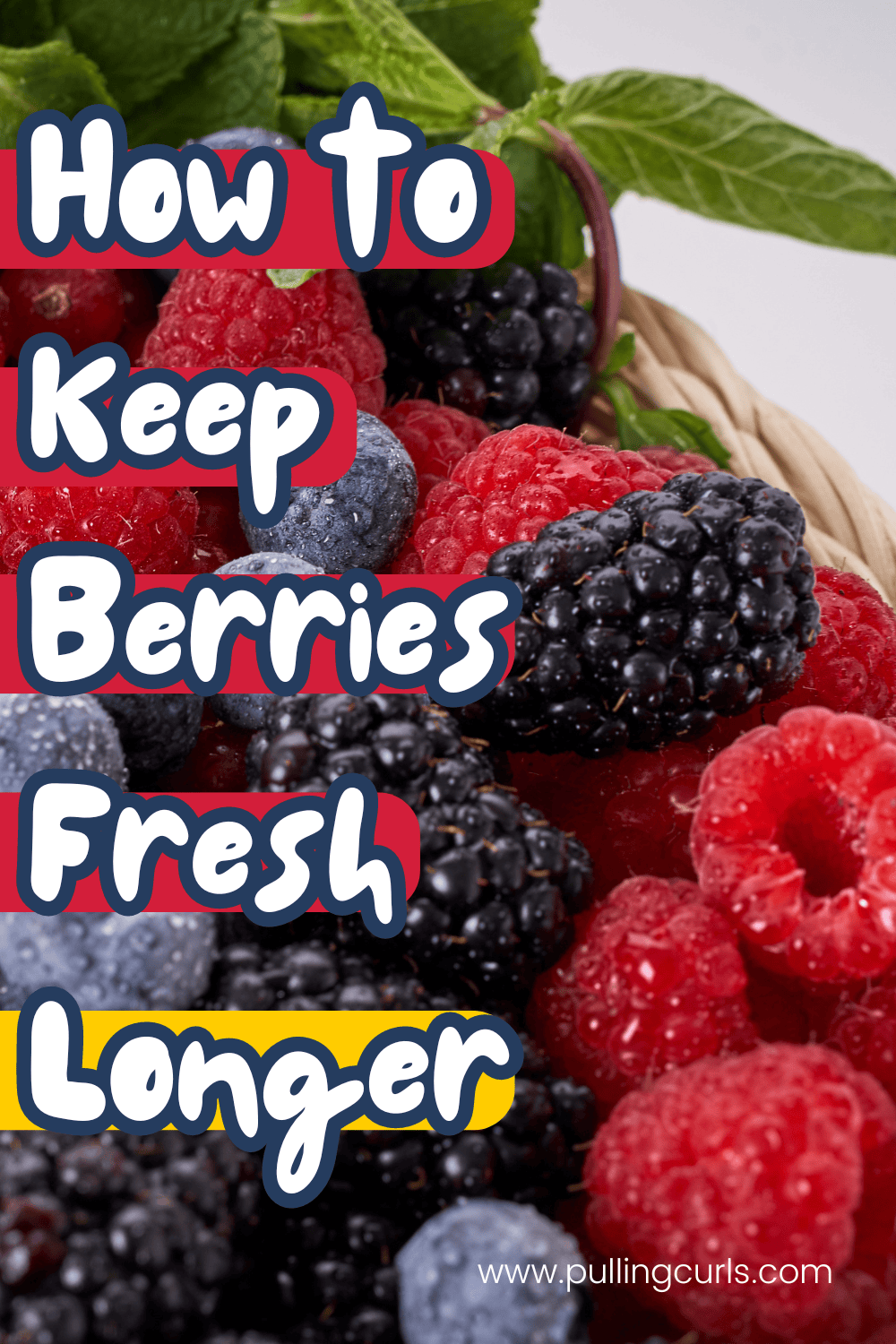 berries / how to keep berries fresh longer via @pullingcurls