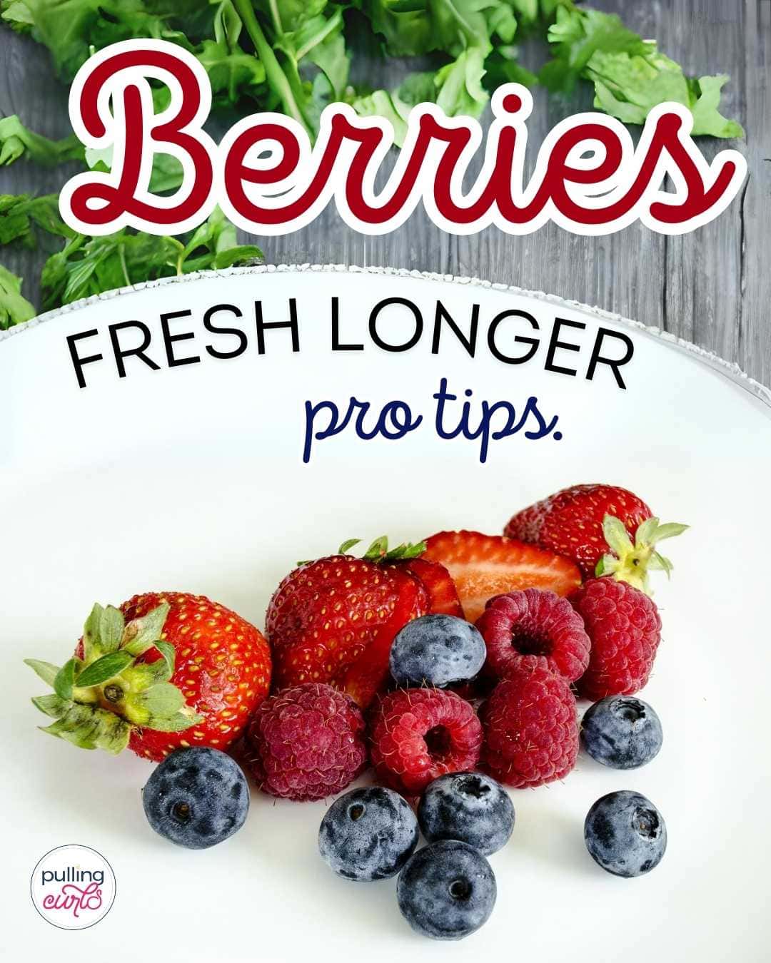 berries fresh longer/ plate of berries via @pullingcurls
