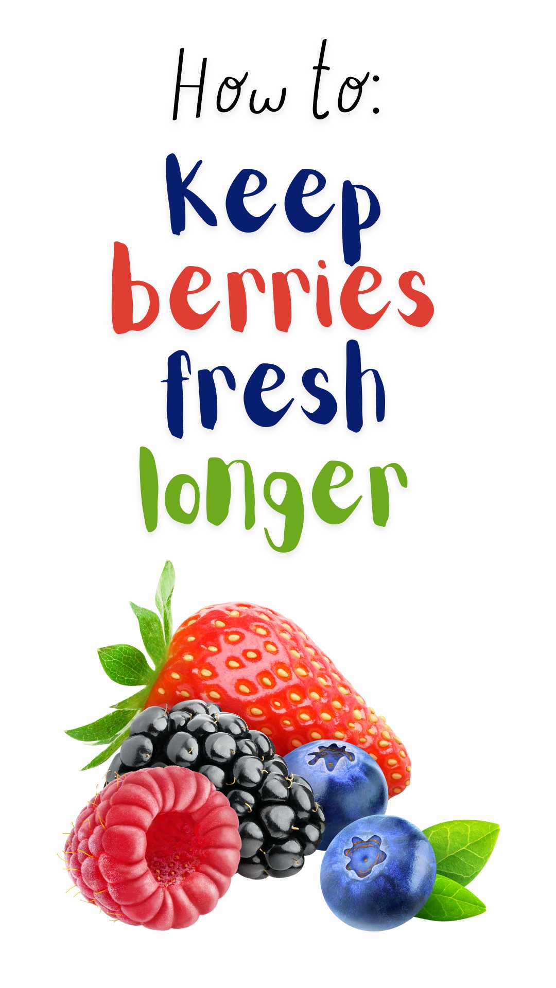image of berries / how to keep berries fresh longer via @pullingcurls