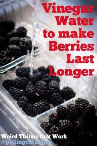 Use vinegar to rinse berries to help them last longer {wierd things that work}.