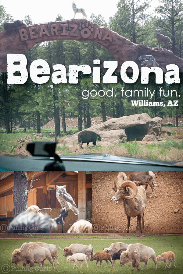 Bearizona is near the Grand Canyon in Arizona. It's a great place to see wildlife!