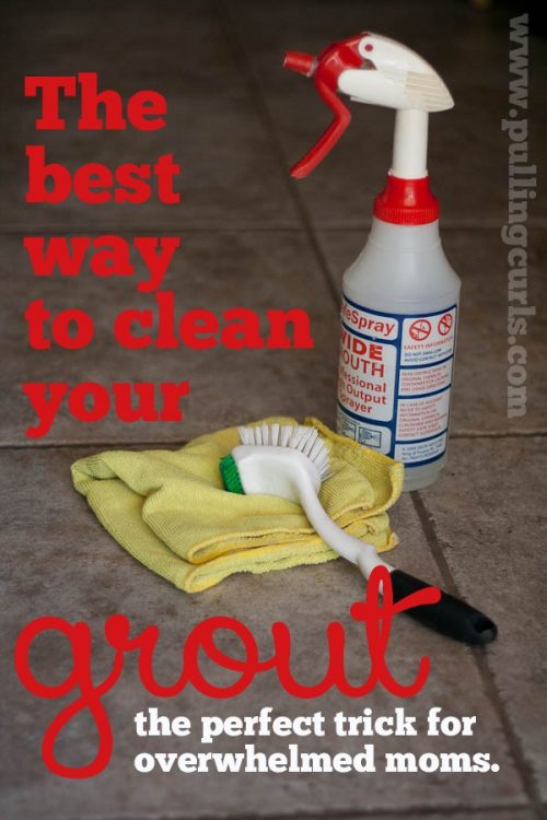 https://www.pullingcurls.com/wp-content/uploads/2015/07/grout-cleaning-500x750.jpg