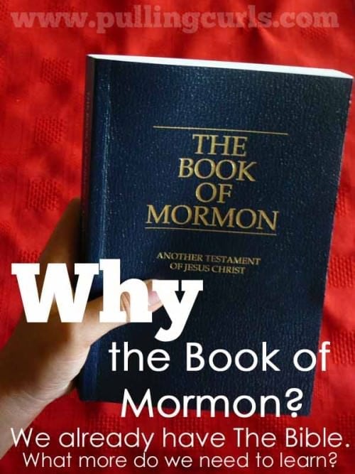 Why do we need the Book of Mormon and why would I want to read it?  I changed how I'm looking at this year, and it turns out it has a lot to teach me about a struggling family.  Give it a try!