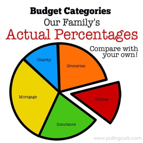 Our family's actual budget percentages for your viewing pleasure. Compare it with your own!
