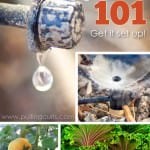 Pinterest Hidden Image