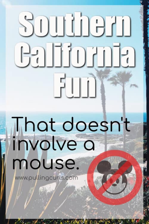 Southern california / not disneyland/ Midevil Times / Aircraft Carrier / Knotsberry Farms