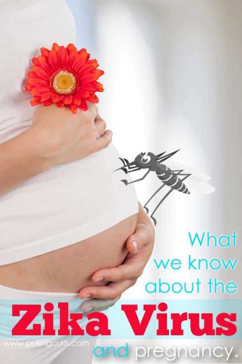 Let's all take a nice deep breath and talk about the Zika Virus in pregnancy. What we know, what we don't know, and what we can do.