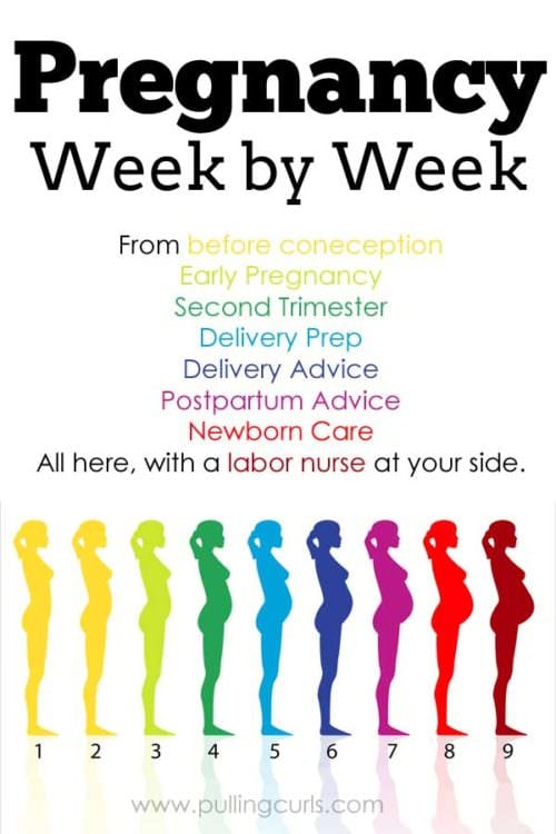 Weeks of pregnancy | months | baby | fetus | growth | first trimester | second | third | timeline | symptoms | articles | tips | delivery