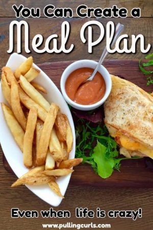 meal plan feature
