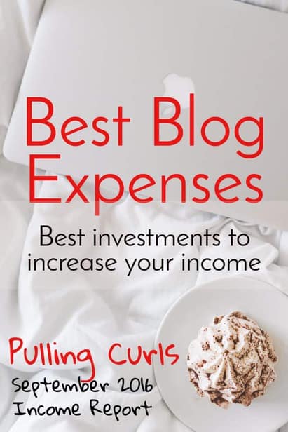 The cost of a website can be really low compared to your income, as long as you are thoughtful about where you spend it. via @pullingcurls