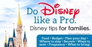 Disneyland Tips