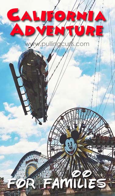 California Adventure park | secrets | tips | rides | ideas | fastpasses | lines | wait