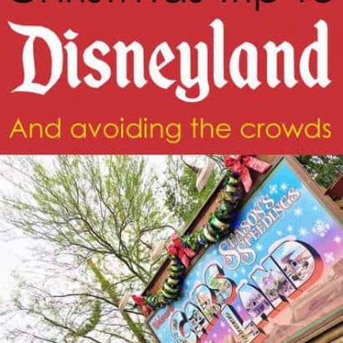 Going to Disneyland at Christmas and avoiding the crowds / tips / tricks / hotels /Courtyard / Grey Wolf