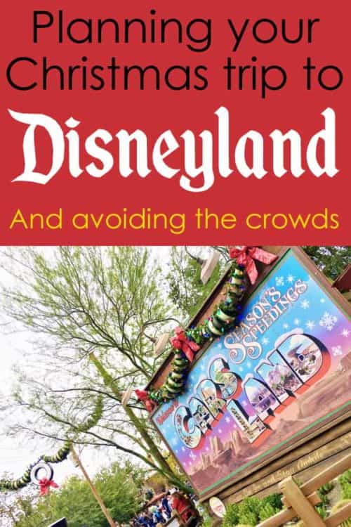 Going to Disneyland at Christmas and avoiding the crowds / tips / tricks / hotels /Courtyard / Grey Wolf