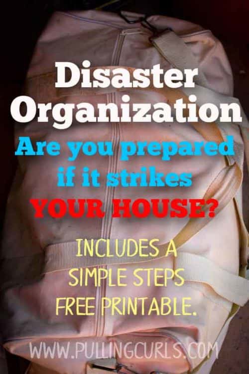 Disaster preparedness is something we should all think about.  You're probably wanting to know how to prepare for a natural disaster, on a budget, to help your survival.  Maybe even for issues of terrorism, or any other type of emergency situations.  This post will get you prepared!