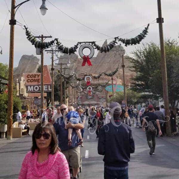 Disneyland for Christmas