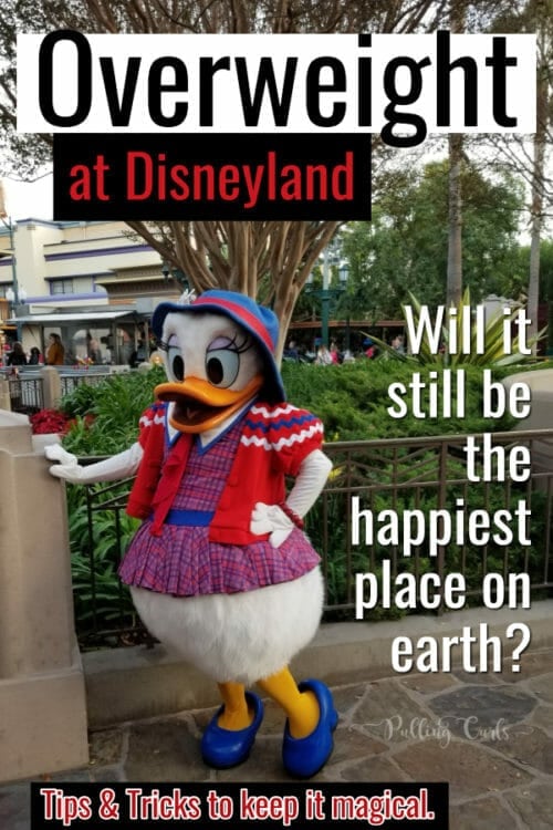 Disneyland rides for obese