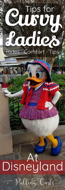 Overweight at Disneyland tips - Rides / restrictions / comfort / hotel
